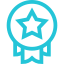 Expertise Icon